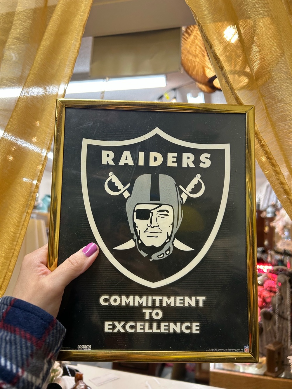 Raider Black & White Raiders Shield Wall Art bar man cave decor sports football
